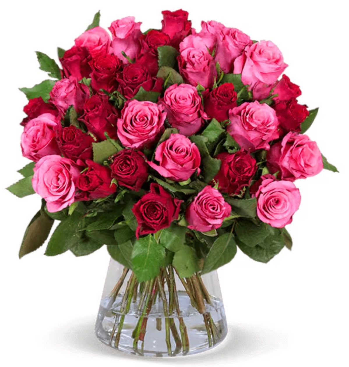 deal-images_2024-04-29T08:18:00